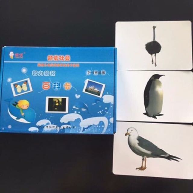 Flash card
