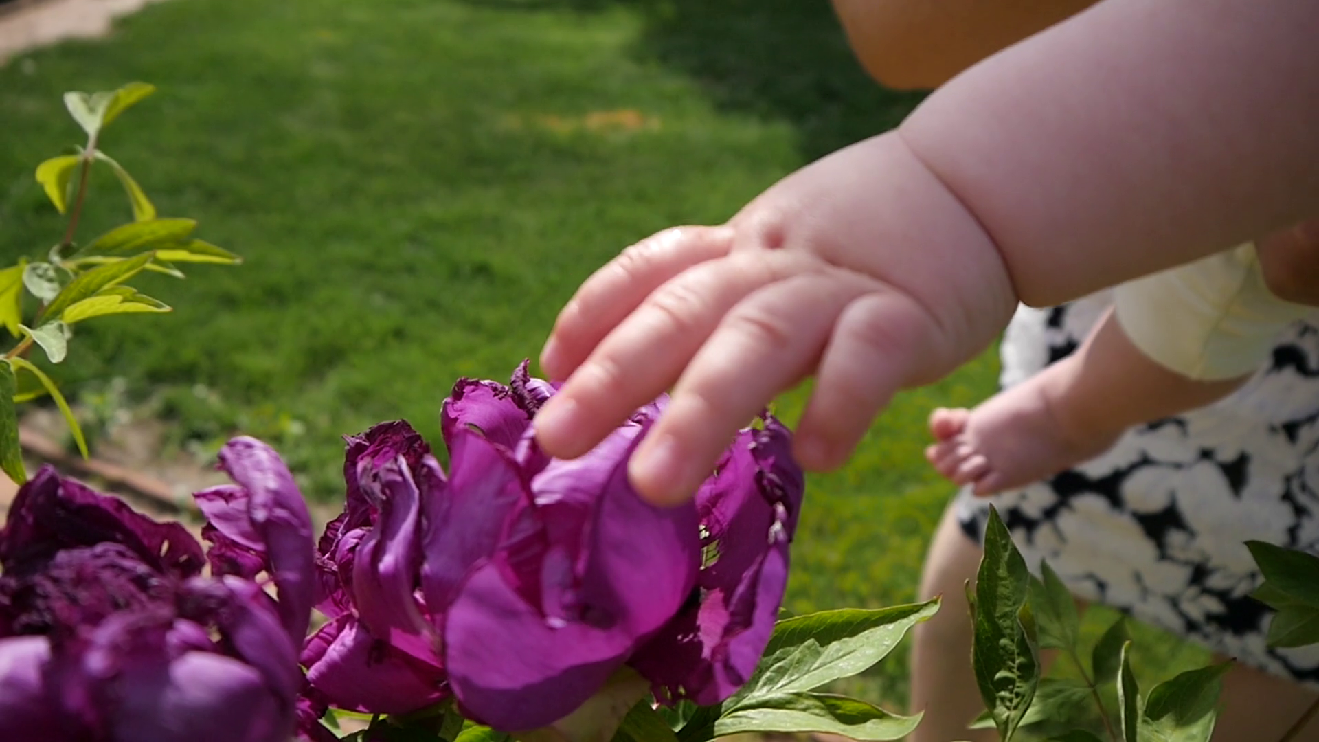 Baby stimulation
