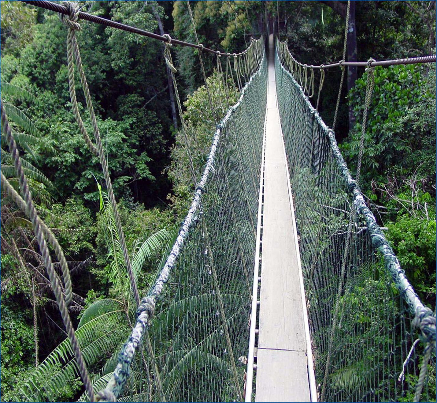 Taman Negara Kuala Koh