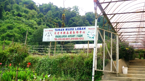ladang lebah