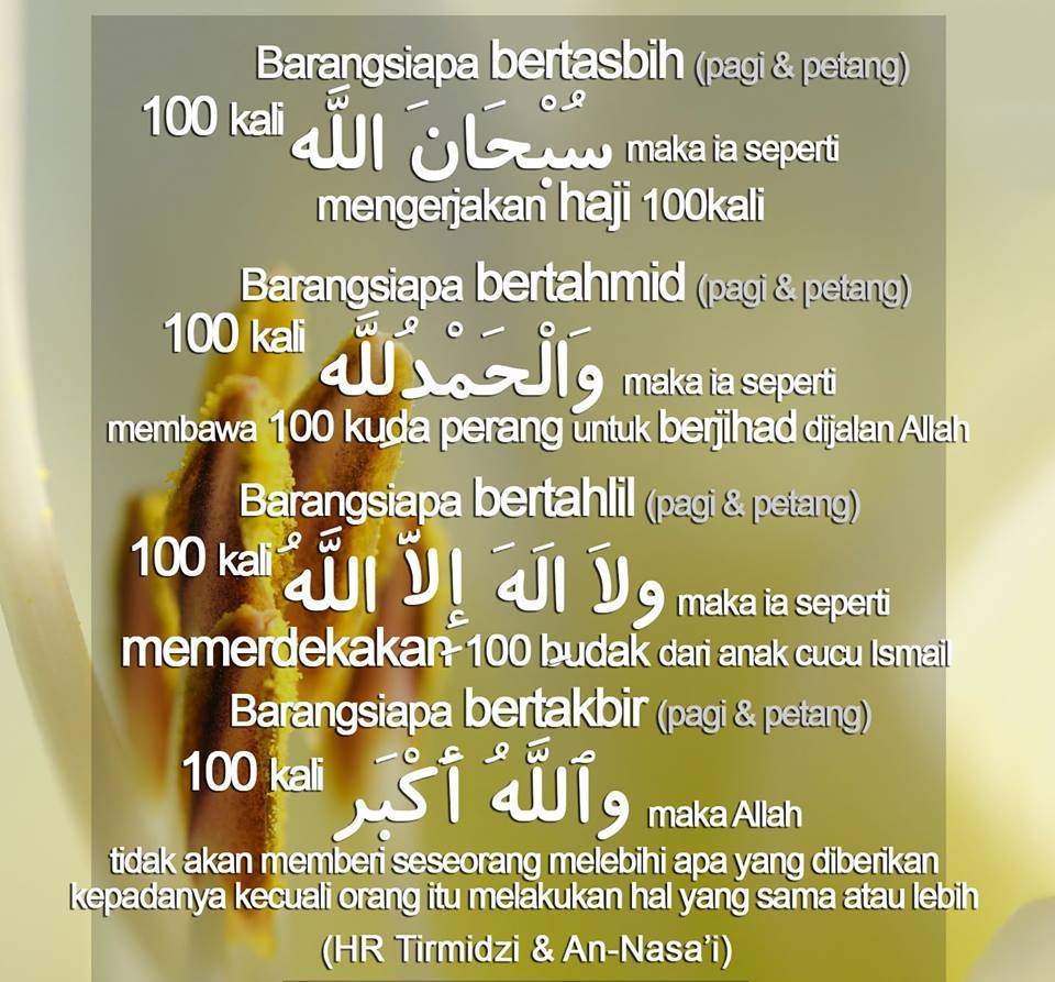 17 Kelebihan Berzikir Dalam Kehidupan Bidadari My