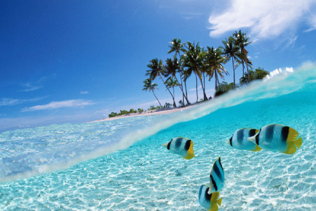 11 Tempat Menarik Untuk Honeymoon Di Malaysia Bidadari My