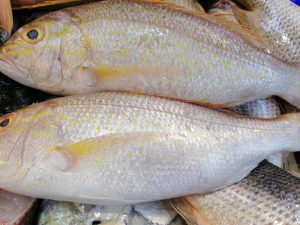 11 Jenis Ikan Sungai Dan Laut Dalam Temui Di Pasar Bidadari My