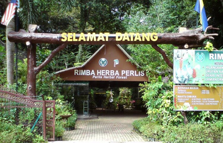 20 Tempat Menarik Di Perlis Kena Pergi Ni Bidadari My